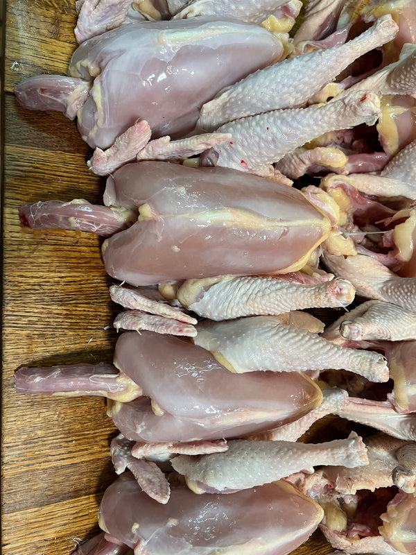 NORTH STAR GAULOISE- The New American Bresse - "JENN'S GEMS" Group