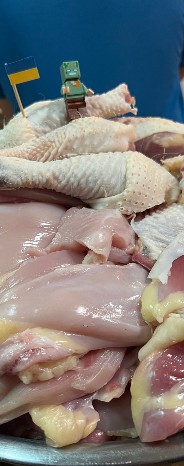 NORTH STAR GAULOISE- The New American Bresse - "JENN'S GEMS" Group