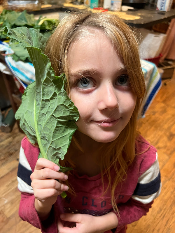 NORTH STAR GAULOISE - The New AMERICAN BRESSE - 10 Count Box of "Abigail's Crystal Foot" Group