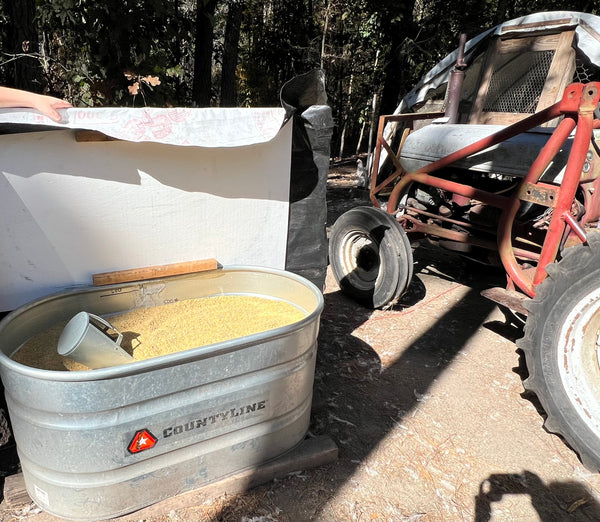 "Buddy's Feed Mill" Blend: Fertrell based CHICK STARTER-LOCAL PU ONLY