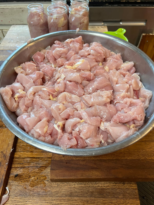 NORTH STAR GAULOISE - The New AMERICAN BRESSE - 10 Count Box of "Abigail's Crystal Foot" Group