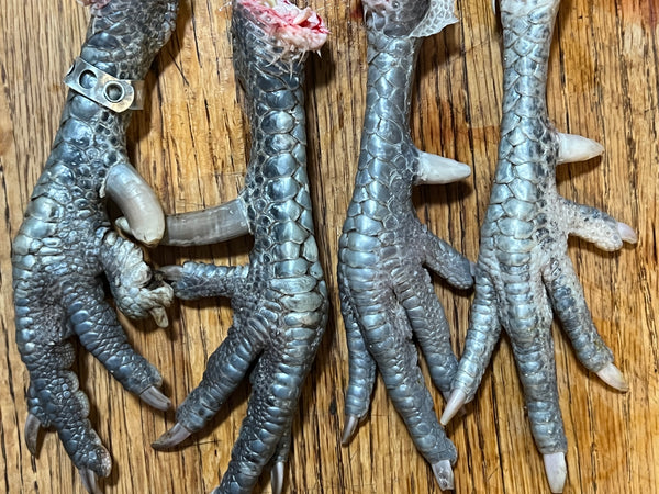 "Buddy's Feed Mill" Blend: Fertrell based CHICK STARTER-LOCAL PU ONLY