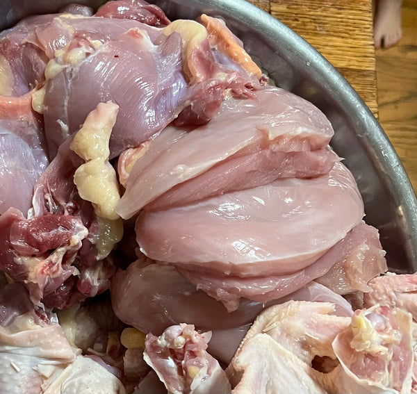 NORTH STAR GAULOISE- The New American Bresse - "JENN'S GEMS" Group