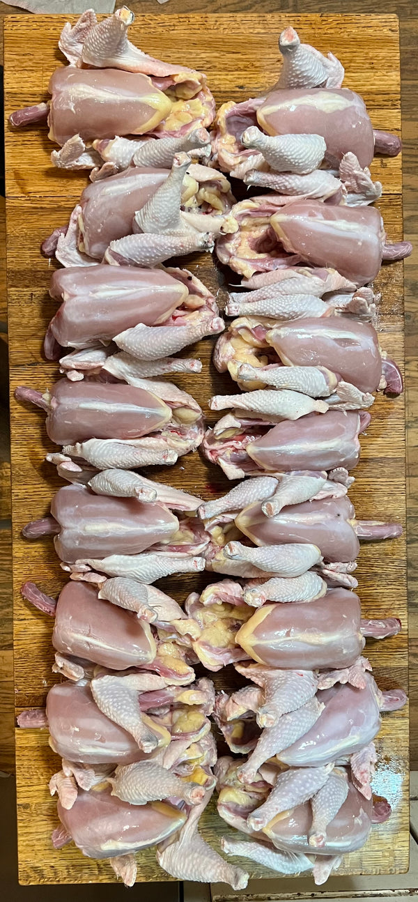 NORTH STAR GAULOISE - The New AMERICAN BRESSE - 10 Count Box of "Abigail's Crystal Foot" Group