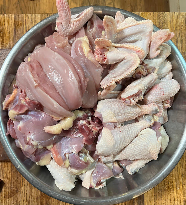 NORTH STAR GAULOISE- The New American Bresse - "JENN'S GEMS" Group