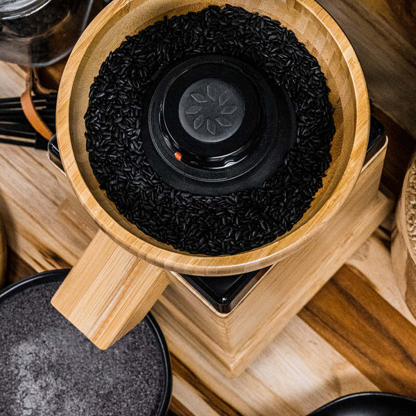 Molino de granos Harvest - Negro