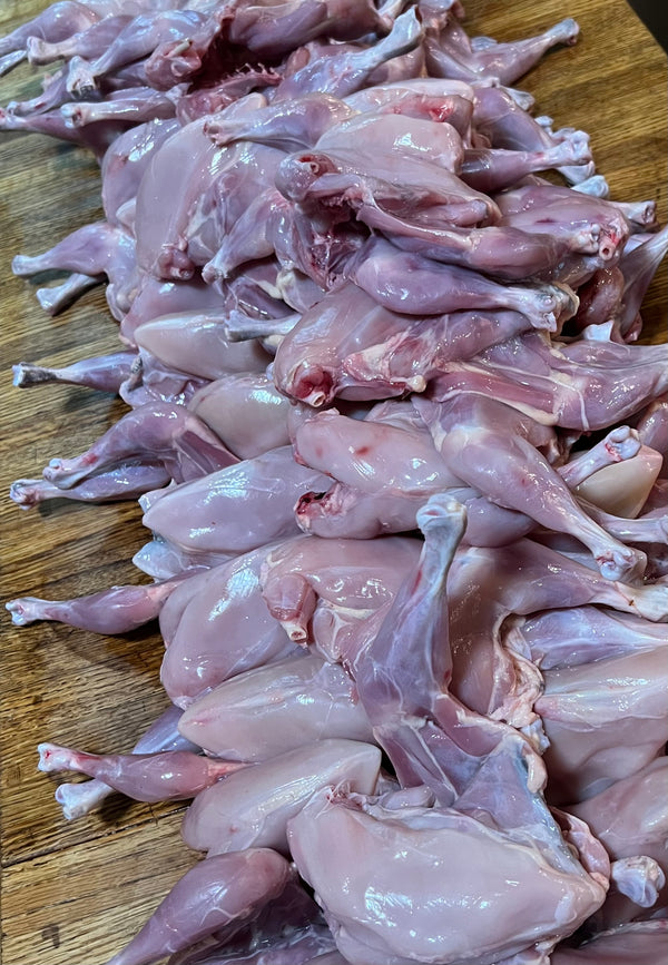 NORTH STAR GAULOISE- The New American Bresse - "JENN'S GEMS" Group