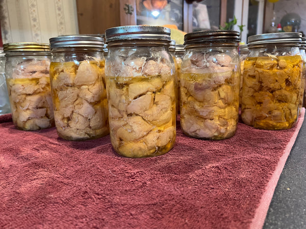 NORTH STAR GAULOISE- The New American Bresse - "JENN'S GEMS" Group