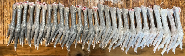 NORTH STAR GAULOISE- The New American Bresse - "JENN'S GEMS" Group