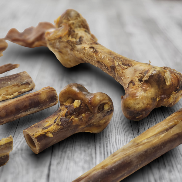 Os de hanche d'autruche. Friandise naturelle et durable pour chien, par Savannah Pet Food.