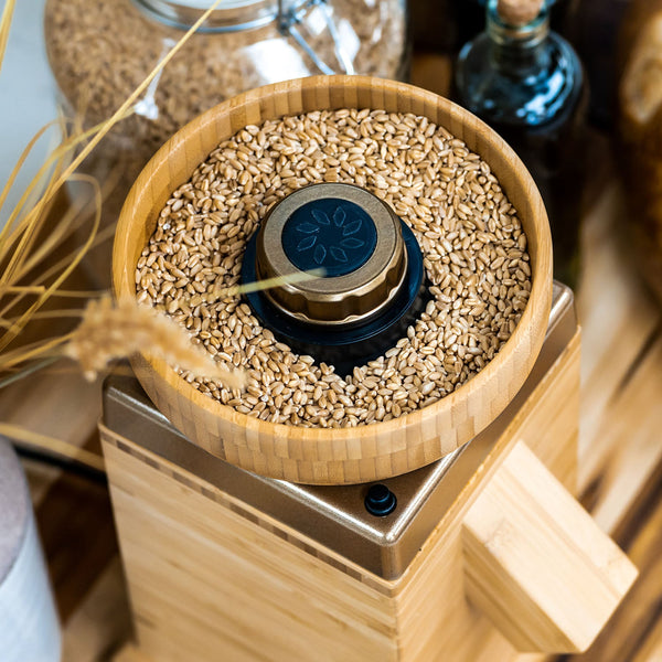 Molino de granos Harvest - Oro