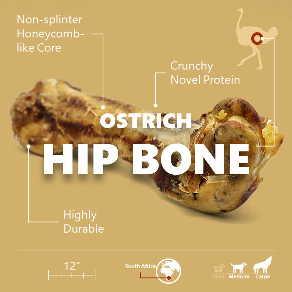 Os de hanche d'autruche. Friandise naturelle et durable pour chien, par Savannah Pet Food.