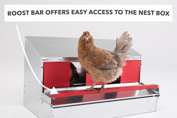 Medium (34") Reversible Rollout Nest Box (Up to 32 Hens) - Free Shipping