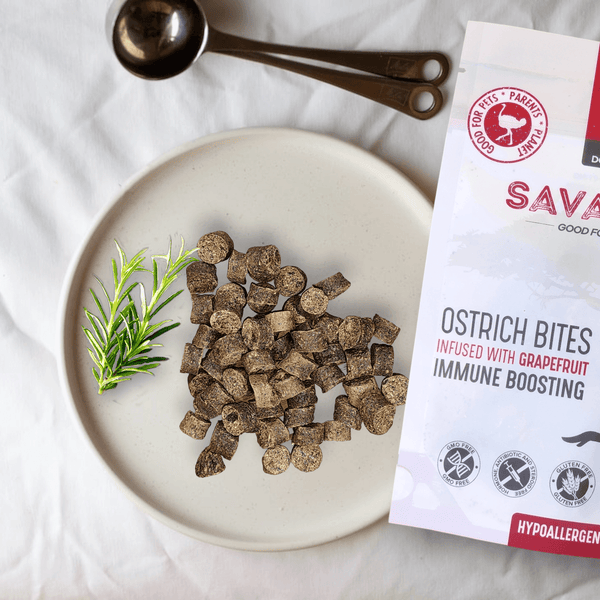 Ostrich Bites with Grapefruit. Hypoallergenic Immune Boosting Dog Treats  - Savannah, 3oz