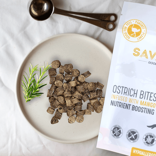 Ostrich Bites with Mango. Hypoallergenic & Nutritious Dog Treats - Savannah, 3oz