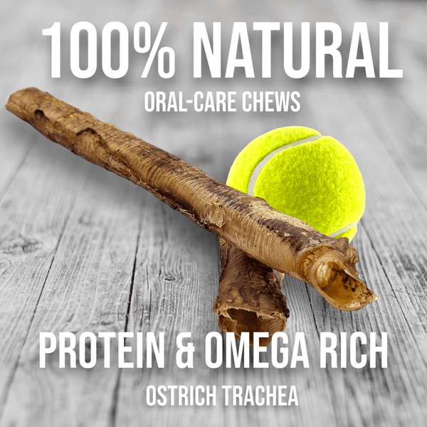 Crunchy Ostrich Trachea Whole. Light-weight, Natural Dog Chew Treat by Savannah Pet Food