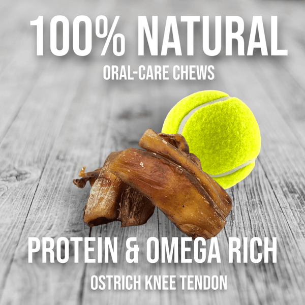 Chewy Ostrich Knee Tendon. Long-lasting, Natural Dog Chew Treat by Savannah Pet Food