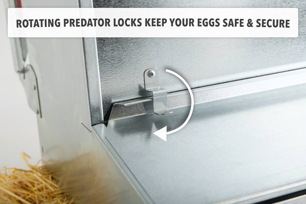 Medium (34") Reversible Rollout Nest Box (Up to 32 Hens) - Free Shipping