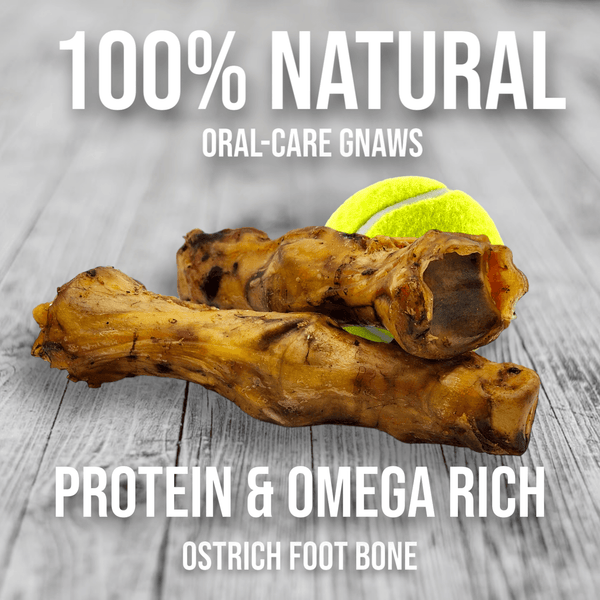Ostrich Foot Bone. Long-lasting, Natural Dog Gnaw Treat by Savannah Pet Food