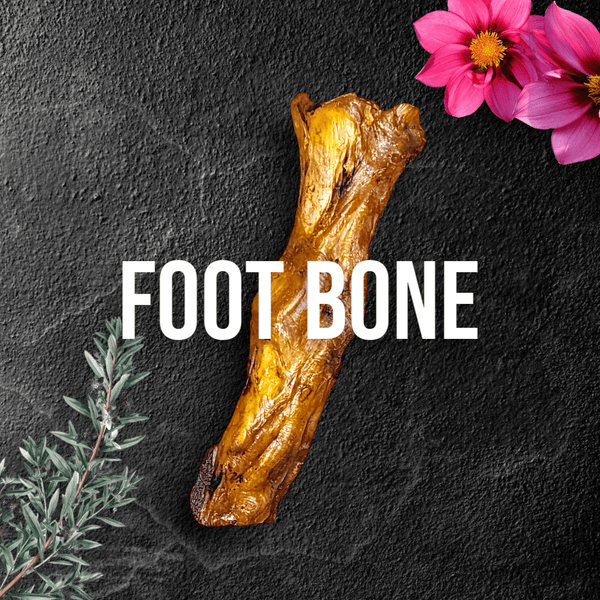 Ostrich Foot Bone. Long-lasting, Natural Dog Gnaw Treat by Savannah Pet Food