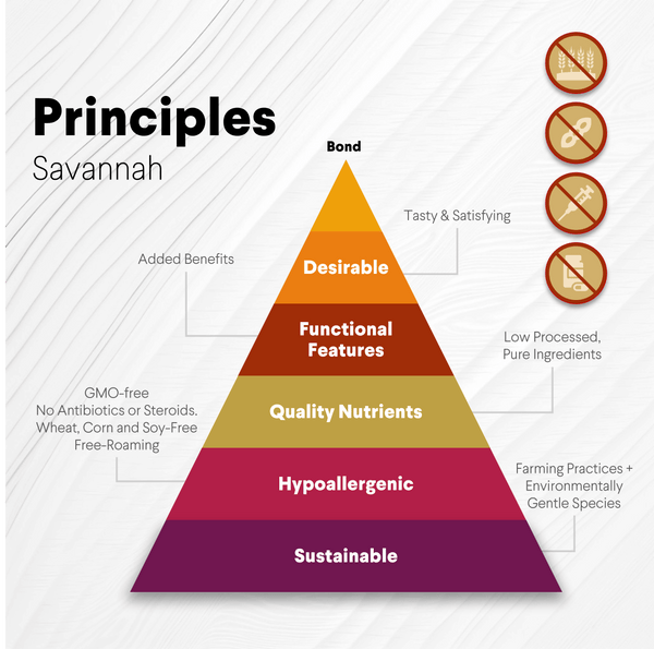 Crunchy Ostrich Esophagus Cuts. Light-weight, Natural Dog Chew Treat by Savannah Pet Food