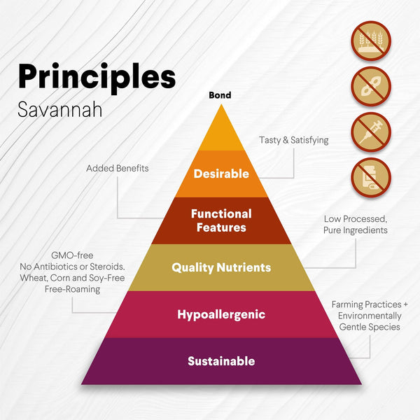 Ostrich Bites with Mango. Hypoallergenic & Nutritious Dog Treats - Savannah, 3oz