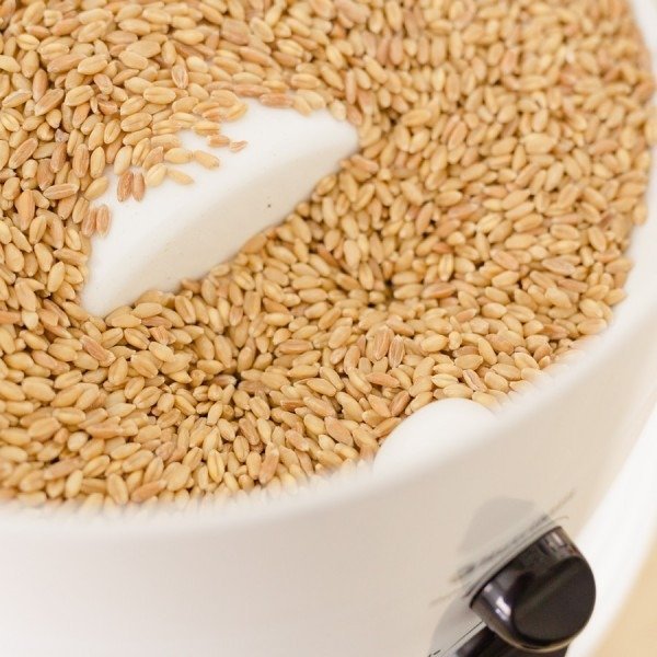 Molino de granos clásico