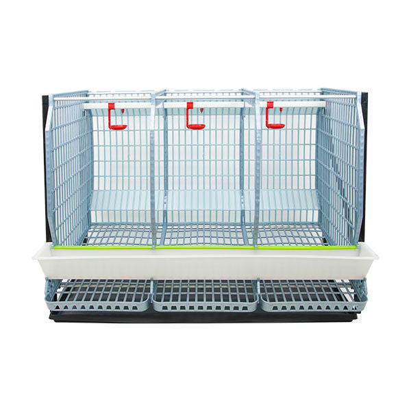 Cage à poulets - H : 22" Ajout de couche