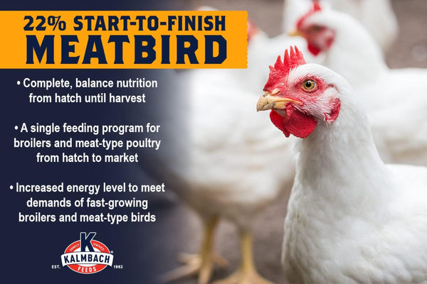 22% ALL Natural  Start to Finish Meatbird Crumbles - 10 lb