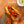 Chewy Ostrich Flat Tendon. Long-lasting, Natural Dog Chew Treat by Savannah Pet Food