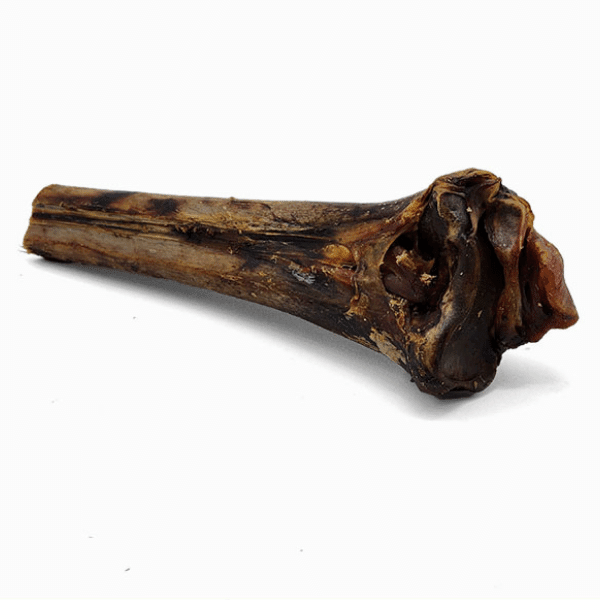 Ostrich Cane (Large) . Long-lasting, Natural Dog Gnaw Treat by Savannah Pet Food