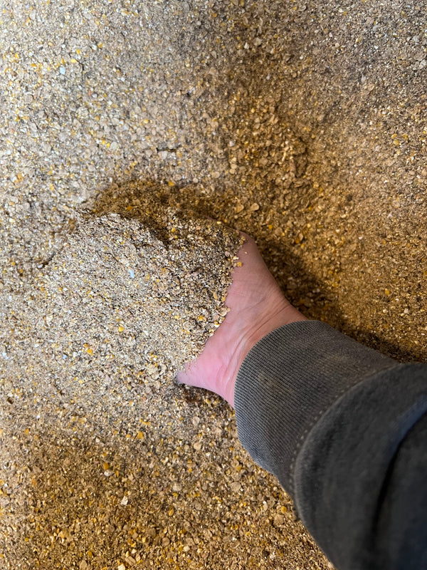 NORTH STAR FARMS CHICK STARTER-Fertrell-with Grit