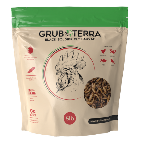 GrubTerra Black Soldier Fly Larvae | 5lb & 10lb Bags