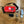 AutoRoost 2.0 (Automatically Opens Your Nest Box)
