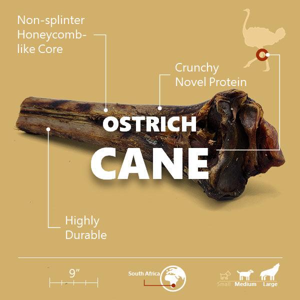 Ostrich Cane (Large) . Long-lasting, Natural Dog Gnaw Treat by Savannah Pet Food