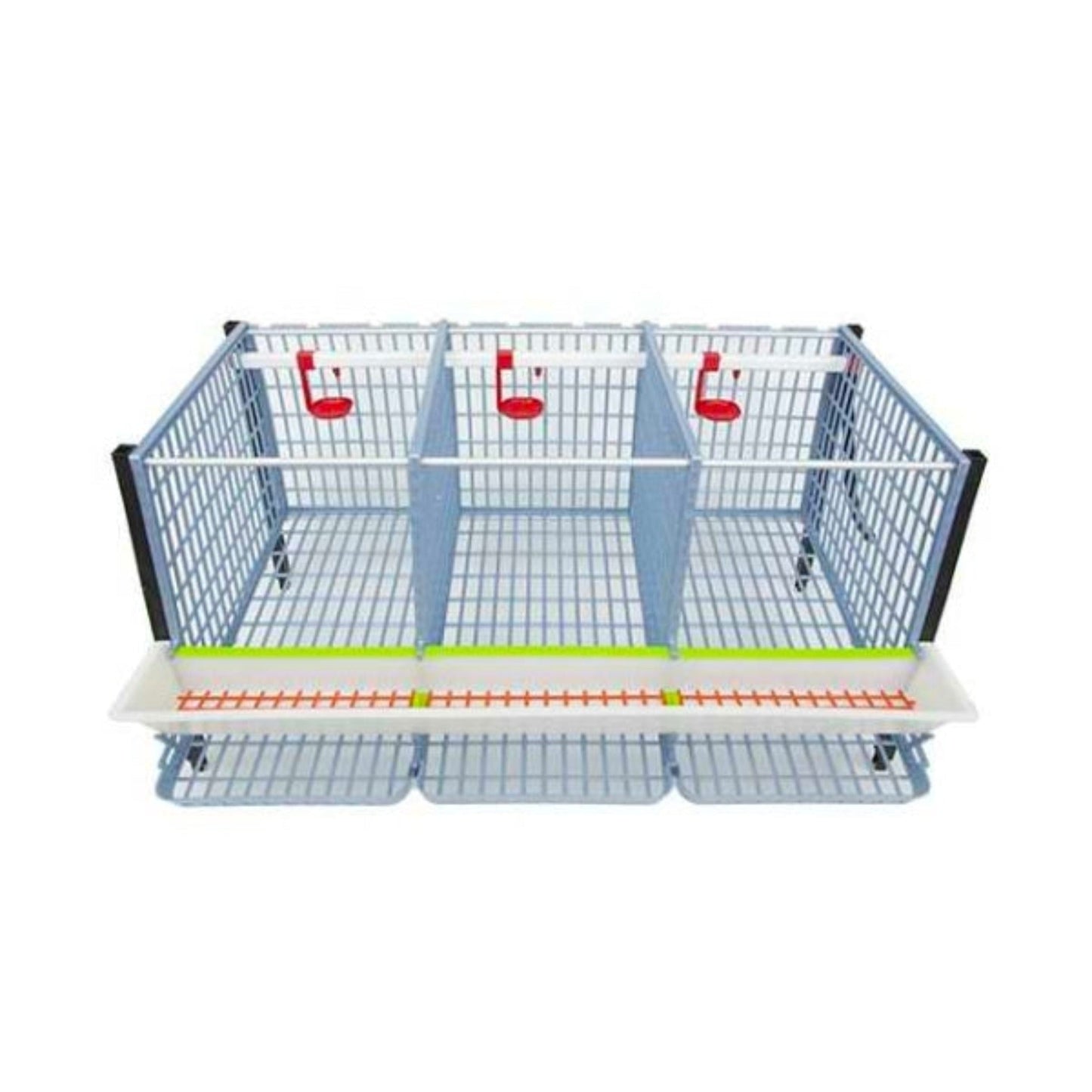 Cage à poulets - 1 couche H : 15"