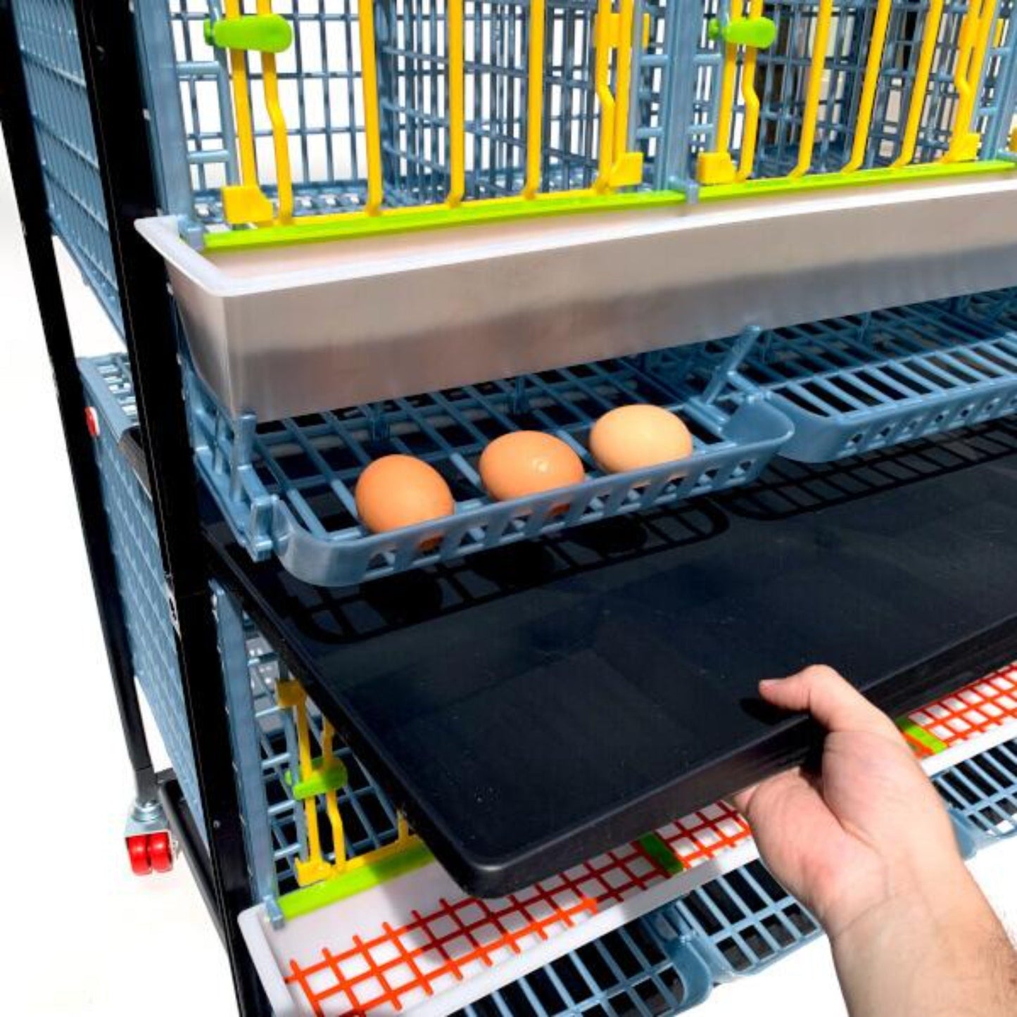 Cage à poulets - 3 couches H : 15"