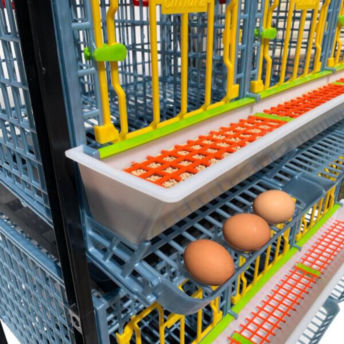 Cage à poulets - 3 couches H : 15"
