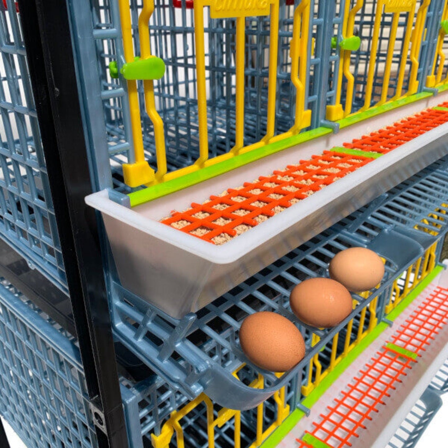 Cage à poulets - 1 couche H : 15"
