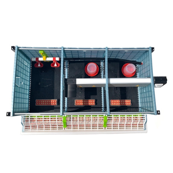 Éleveuse de poussins - 2 couches H : 9,5"