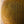 Parmigiano Reggiano Wheel- (~$11/pound)