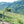 Imported Olive Oil from Italy- Roggianella Olive (Calabria)
