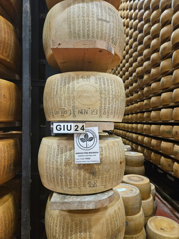 Bulk Grated Parmigiano Reggiano- 3 Pack of 2lb Bags