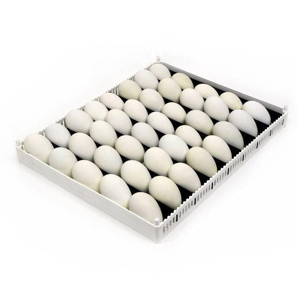 Plateau d'incubation des œufs (Flexy80ST)