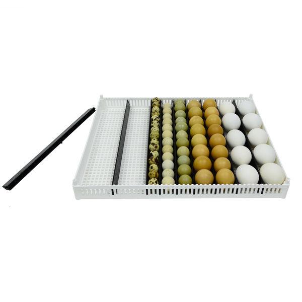 Plateau d'incubation des œufs (Flexy80ST)