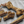 Ostrich Long Bone. Long-lasting, Natural Dog Gnaw Treat by Savannah Pet Food