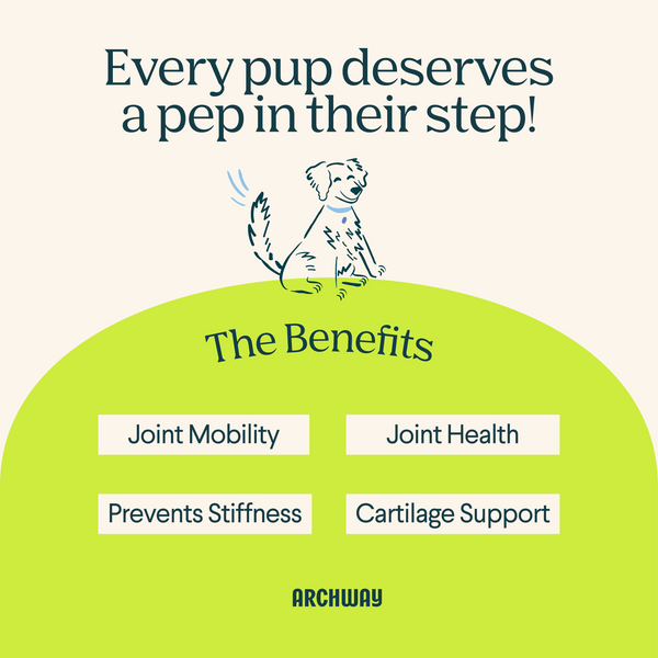 Hip & Joint Health
