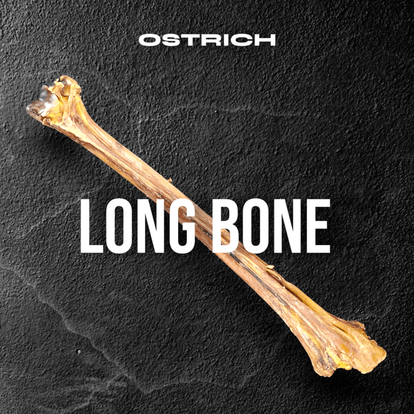 Ostrich Long Bone. Long-lasting, Natural Dog Gnaw Treat by Savannah Pet Food