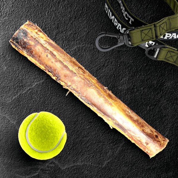 Ostrich Shaft Bone. Long-Lasting, Natural Dog Gnaw Treat by Savannah Pet Food