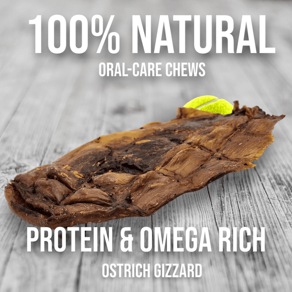 Chewy Ostrich Gizzard Whole. Protein & Omega-3 rich, Natural Dog Chew Treat  by Savannah Pet Food